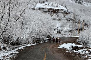 Image of Iran 4